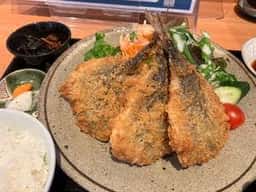 山陰ゆかりのあじ 郷音