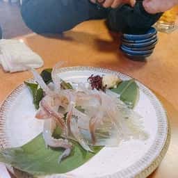 酒庵若やま