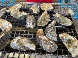 牡蠣小屋 大黒丸