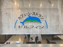 ドルフィン