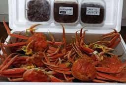 越前港漁師直営 海の幸 食処 えちぜん