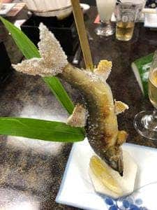 春駒