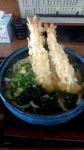 ぶんごうどん