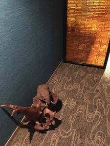 秘密のカレー部屋