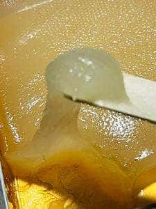 マエダセイカ 羽二重餅の古里