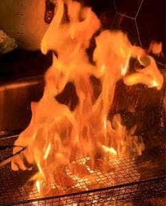 月夜に遊ぶ。