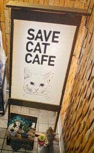 SAVE CAT CAFE