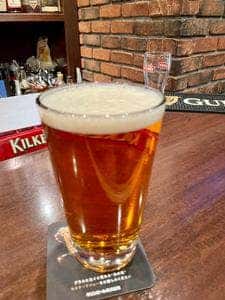 CRAFT BEER&PUB THE HARP