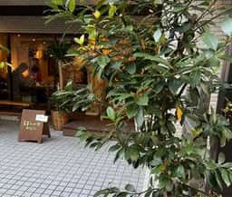 若草コーヒー店