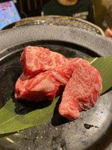いこる家