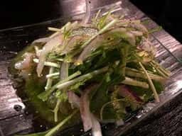 VINO NAKADA