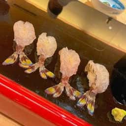 佐津満鮨