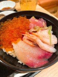 天然温泉 富山 剱の湯 御宿 野乃