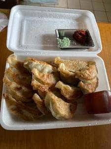 梅の木