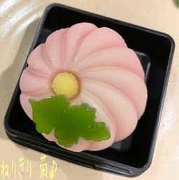 菓舗 中野屋