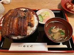 かも川
