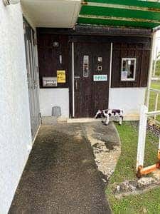 宮古島チーズ工房