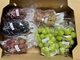 かつやま屋台 宮田