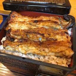 活鰻