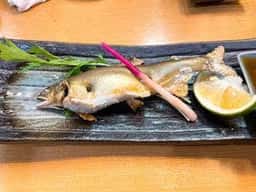 活鮨 魚發