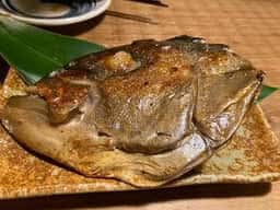 らいおんの穴