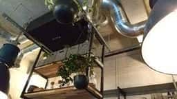 cafe dining giraffe