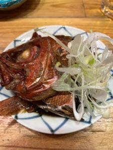 魚のてっぺん