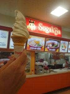 スガキヤ アピタ向山店