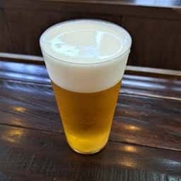 ブンカ堂