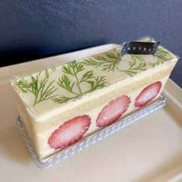 コンステラス