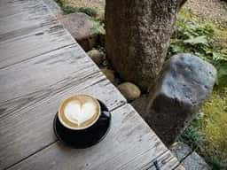Coffee Base NASHINOKI