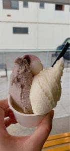 il cursore