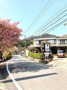 お食事処 中瀬隠居