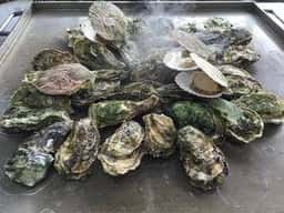 かき小屋 唐桑番屋