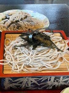 竹の家