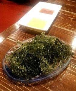 星屑亭