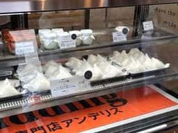 アンデリス 新琴似店