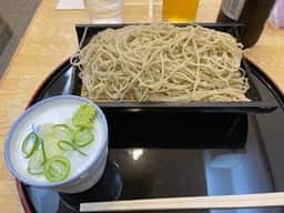 越前