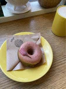 VENUTS