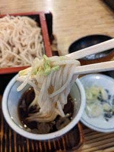 生そば 巴屋本店