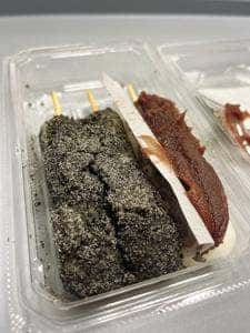 小樽新倉屋 総本舗