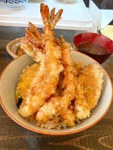 和バル 奏