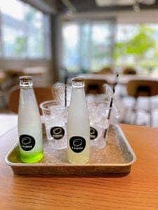 O.GARDEN Grill