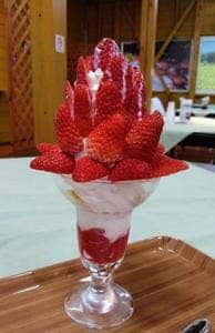 朝霧高原フルーツカフェ