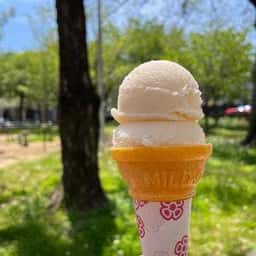 1×1=1 アイスクリン