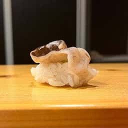 蒲兎鮨