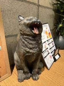 九州酒肴 筑前猫屋 八丁堀