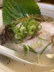 らーめん あらうま堂 梅田一番街店