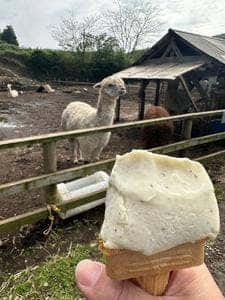 山田さんちの牧場 ミルクの里