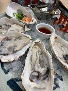 焼がきのはやし